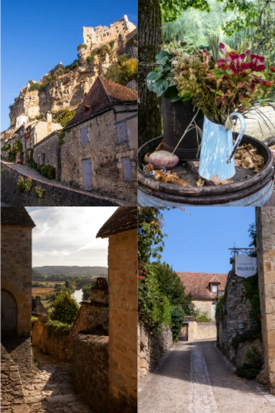 Collagec.jpg
