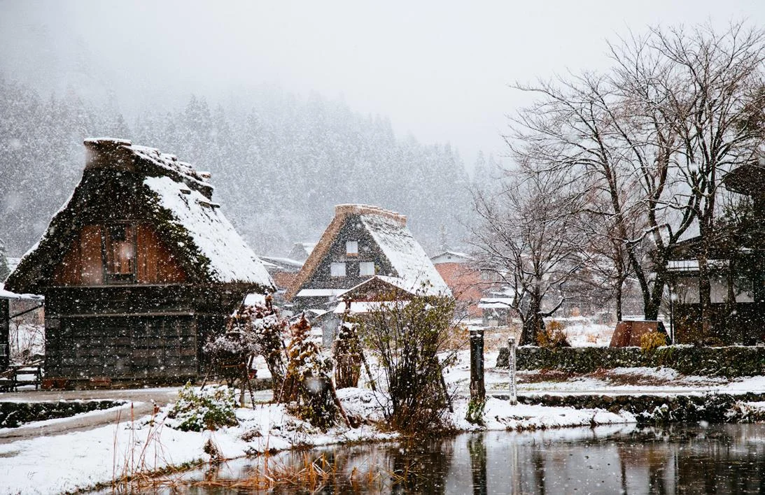 Snowy scene.jpg