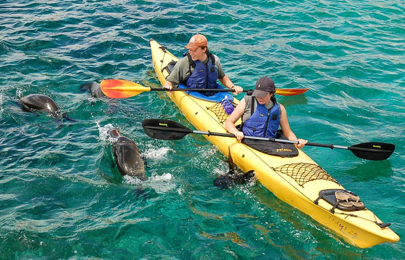 11_kayak_nov19.jpg