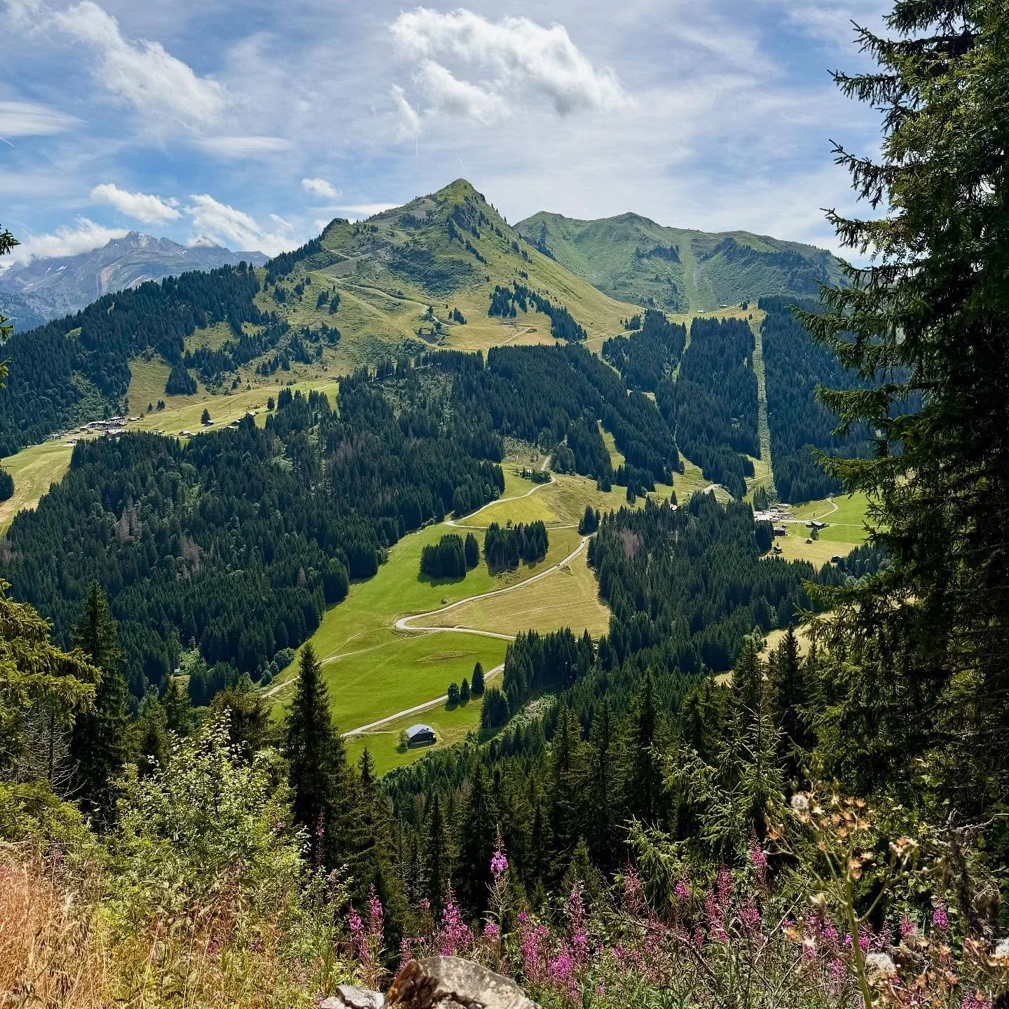 Snapshots from a wonderful few days hiking in Morzine&rsquo;s mountains! 

I&rsquo;ve skied Portes du Soleil but never visited in summer - what a revelation. The views from our daily hikes were stunning and we even got a peek at Mont Blanc. We shared