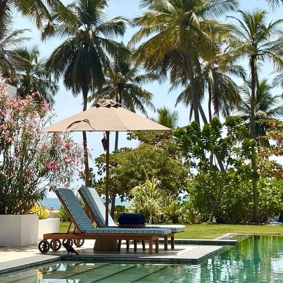 Chasing endless summer vibes at @kalkudahbeachhouse, where clients are soaking up lazy poolside days on Sri Lanka&rsquo;s serene East Coast🌴 ✨

After an epic adventure across the teardrop isle - exploring Galle Fort&rsquo;s historic charm, hiking an
