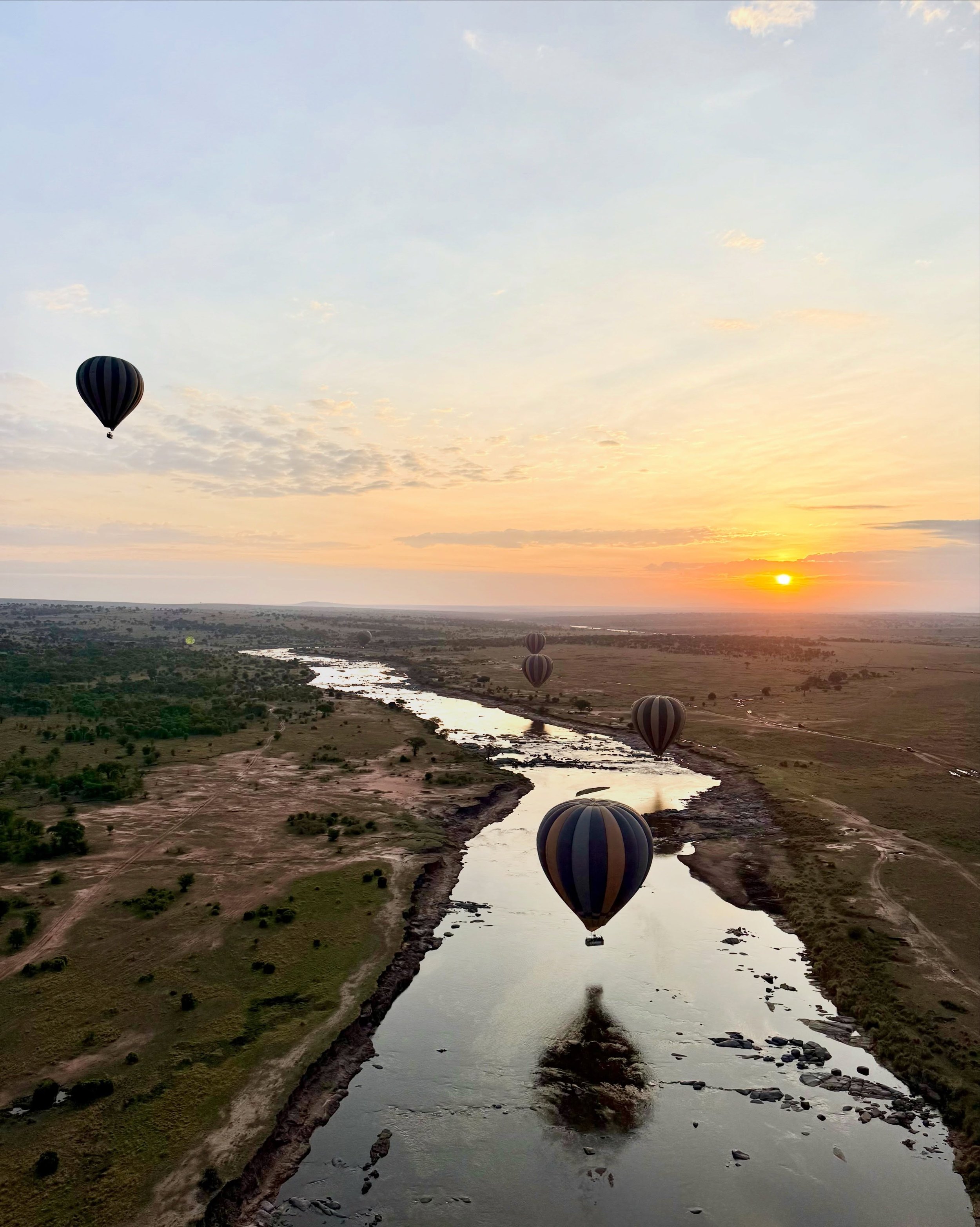 A magical morning in the Serengeti with @serengetiballoonsafaris 

#serengetinationalpark🇹🇿 #themigration #luxurysafari #ballonride #laconcordiatraveller
