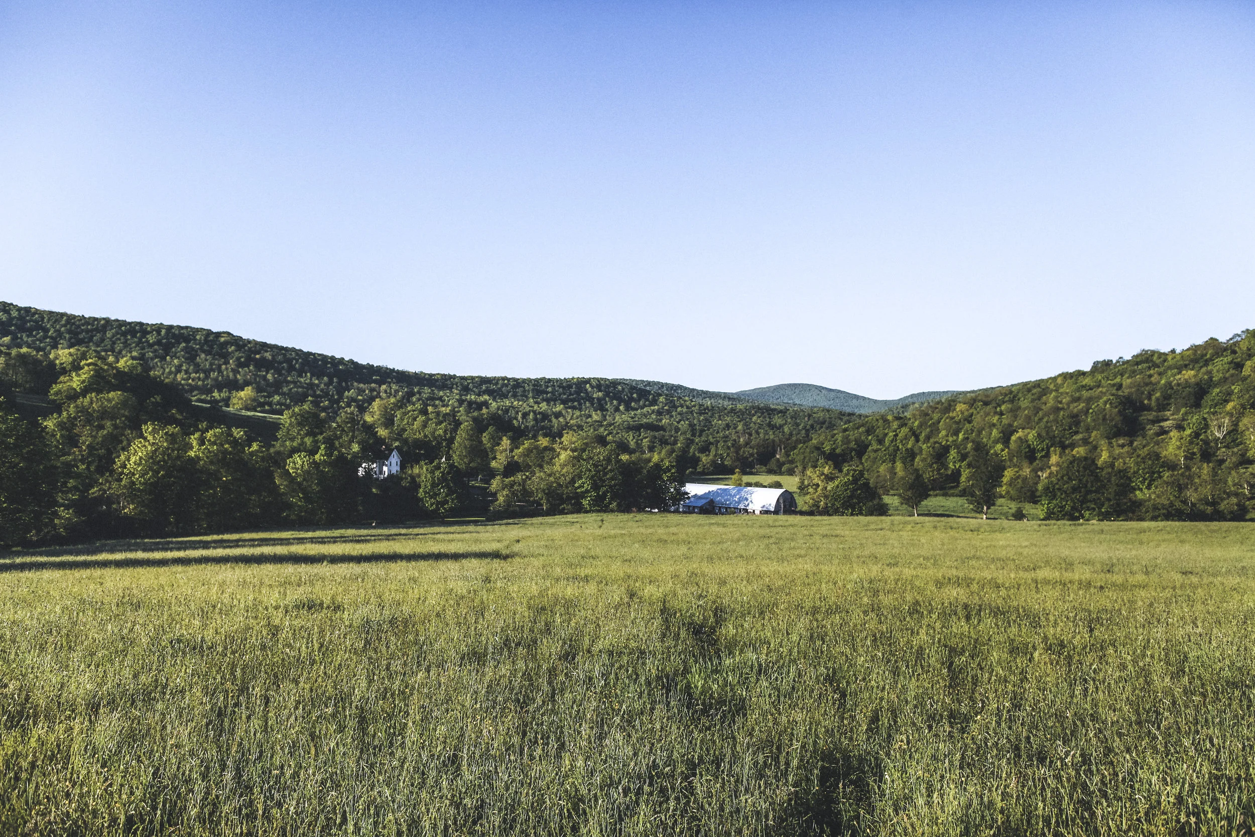 field_and_stone-34_1.JPG