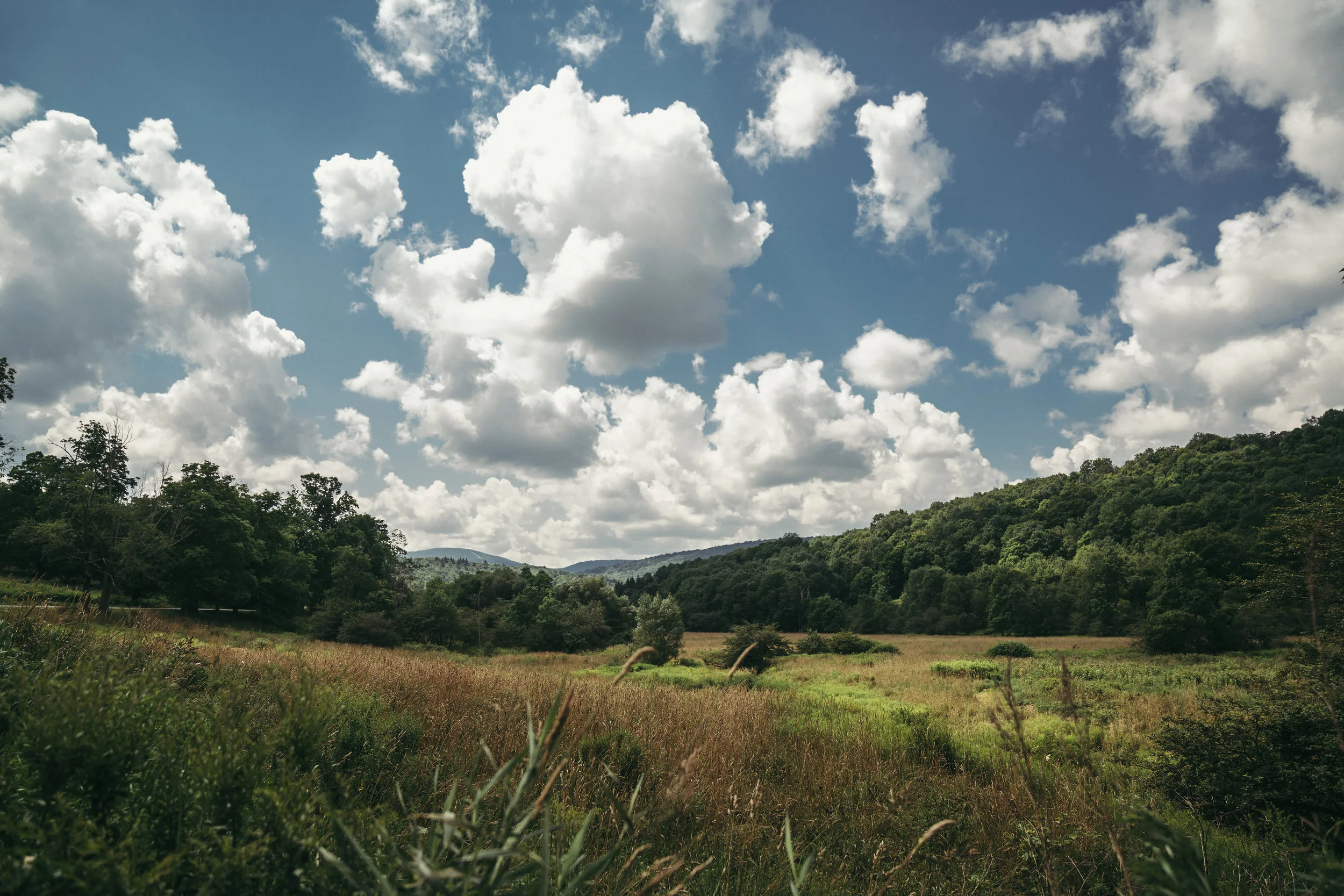 fieldandstone-66.jpg