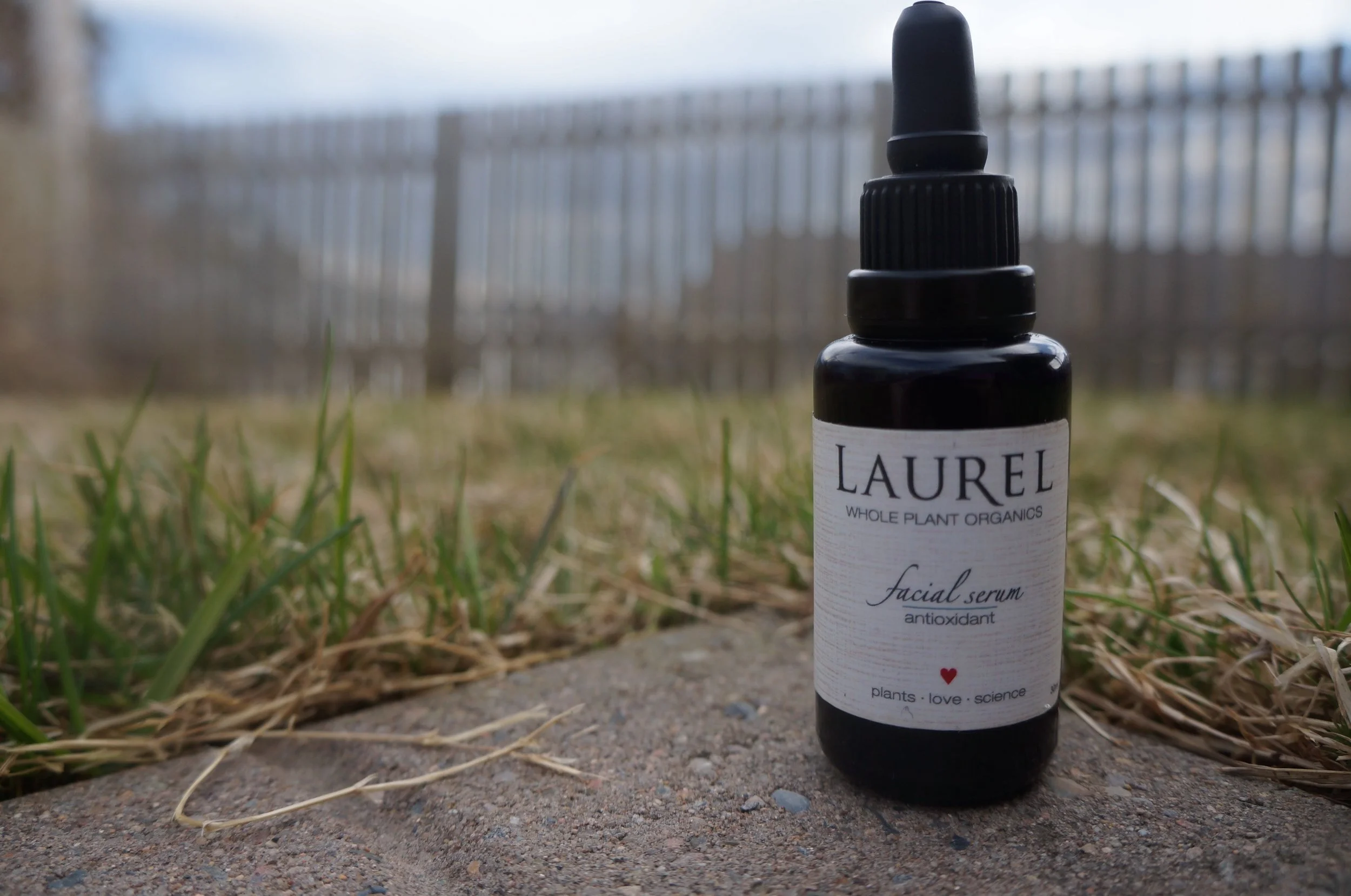 laurel antioxidant serum