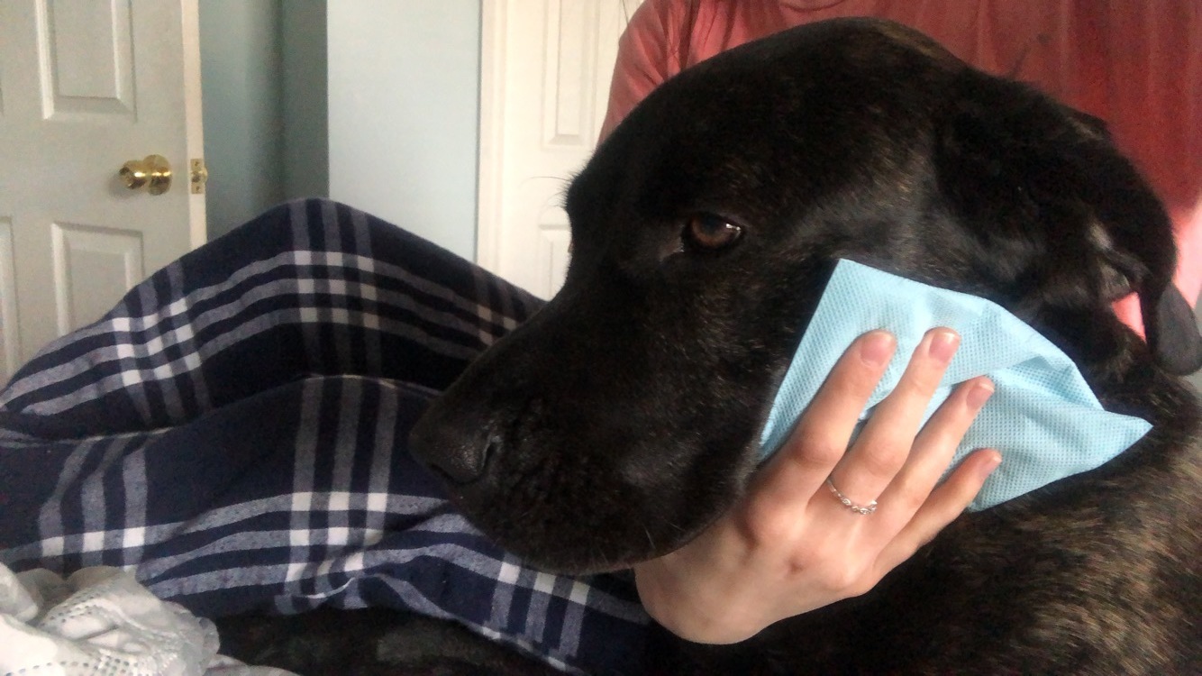 Kobe LOVED hot compress time. We did this every day, three tiems a day. Before work, lunch time and before bed. 
