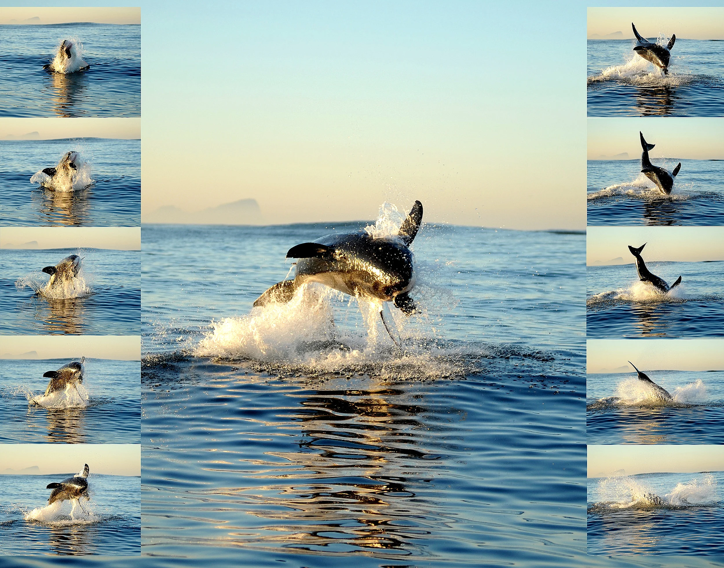 C. Shipley Sample-09.JPG