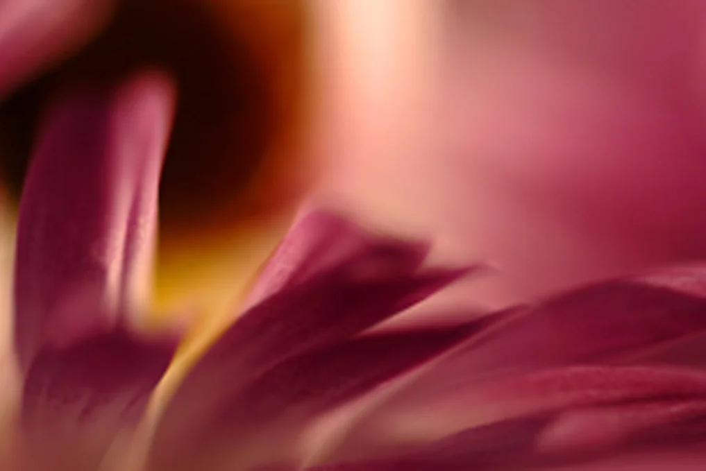 C. Shipley Sample-05.JPG