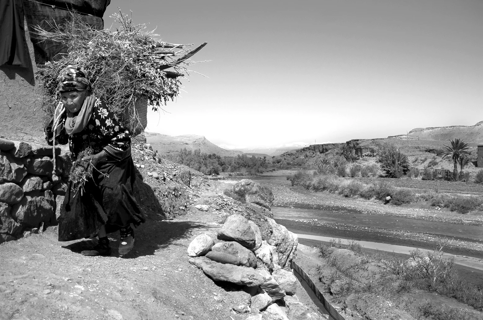 C. Shipley Sample-08.JPG