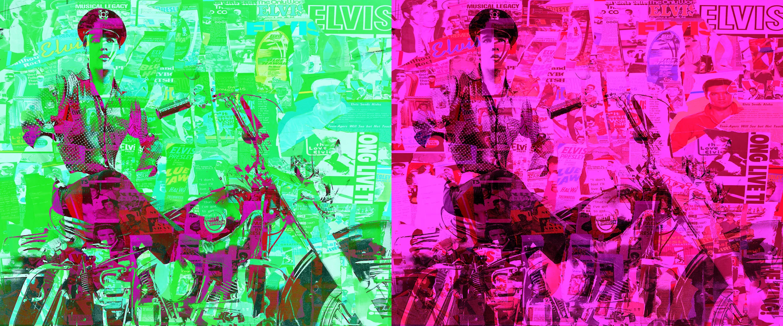 ElvisFINISHED.jpg