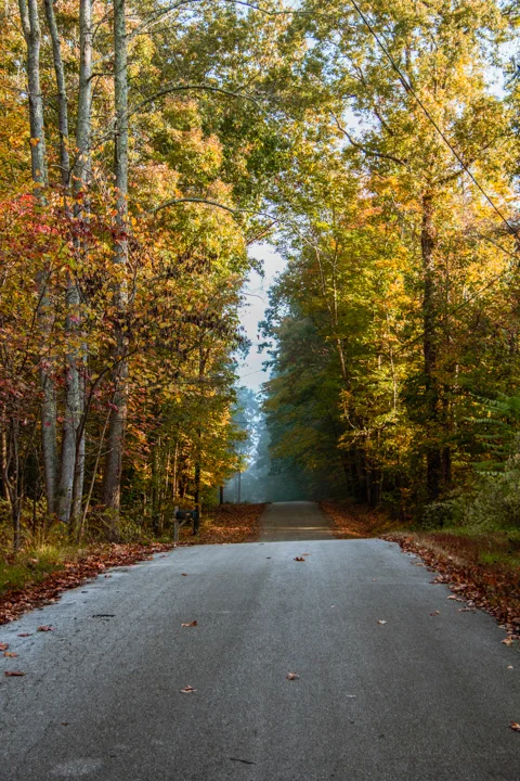 RoaneCounty-4.jpg