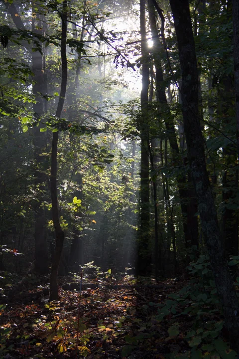 RoaneCounty-25.jpg