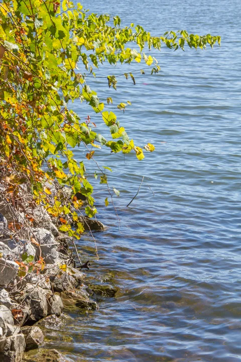RoaneCounty-44.jpg