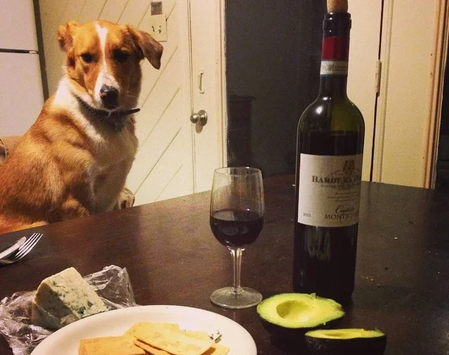This was Chris' typical Saturday night until we started dating ... just a few months after this photo was taken! Our Saturday nights actually still look a lot like this. 