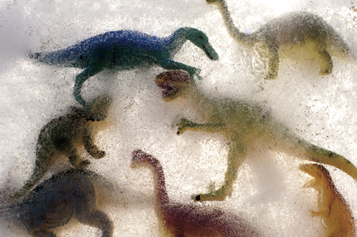 Frozen Dinos-7157.png