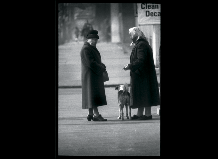 Ladies w dog.png