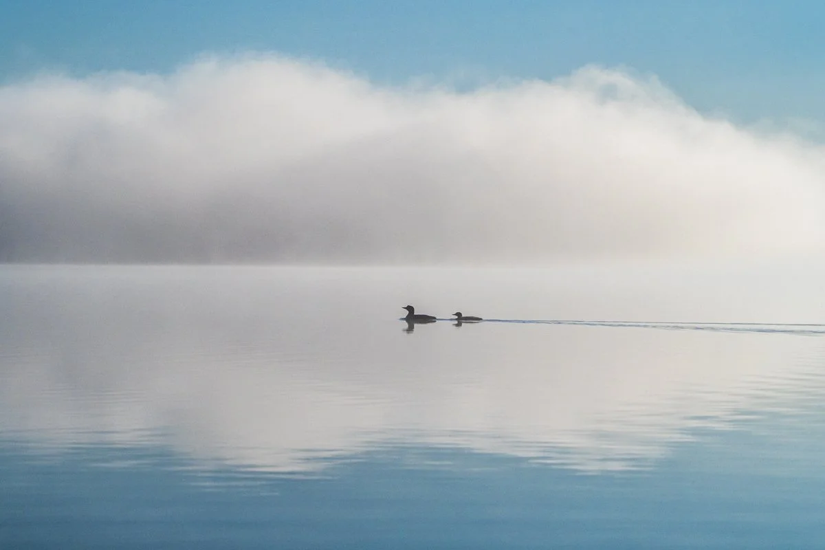 Anglin Lake 5