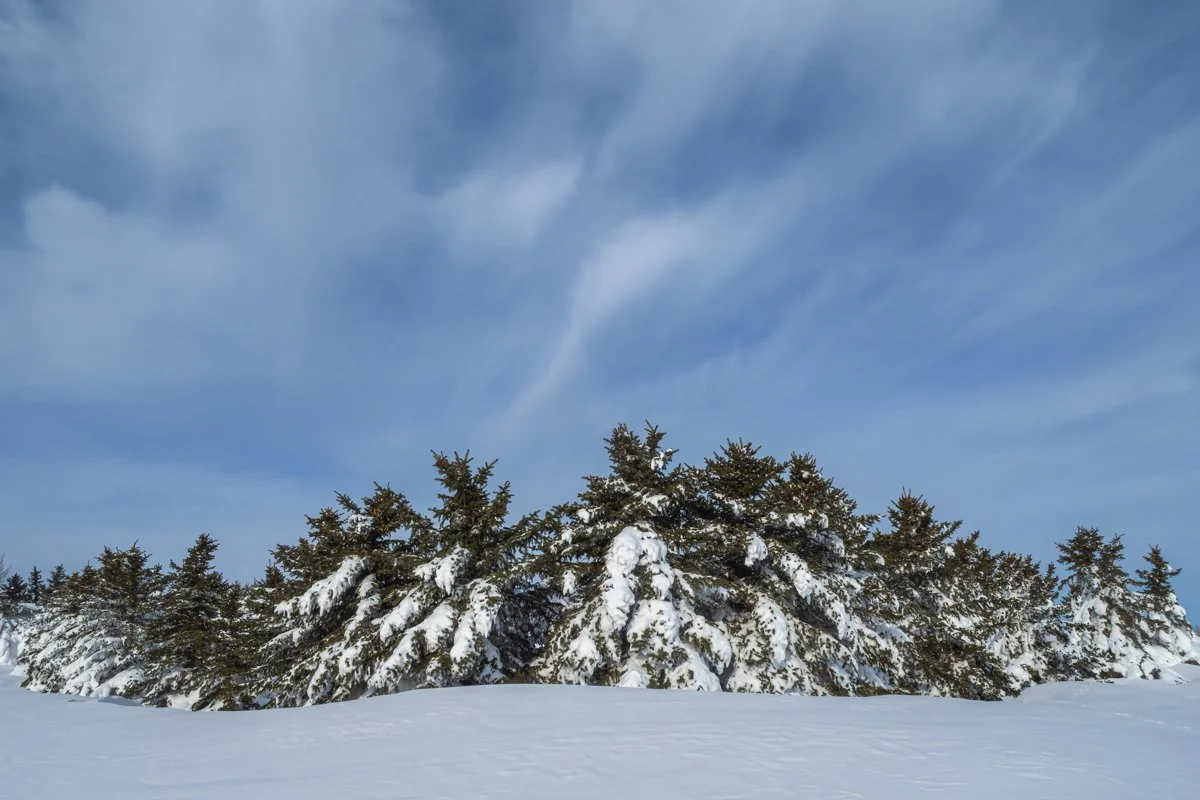 Winter 7