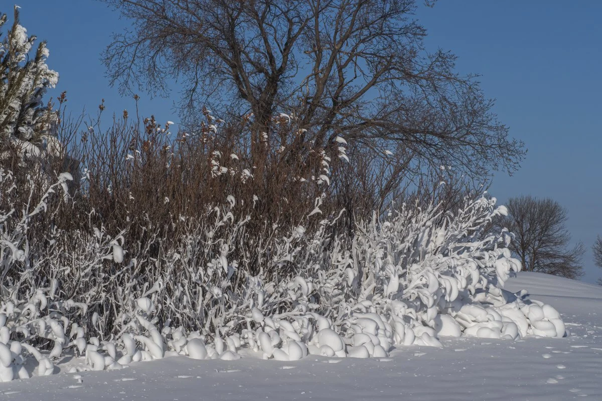 Winter 5