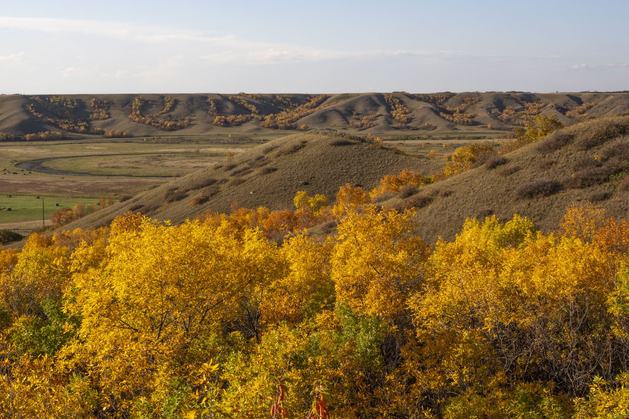 29 Qu'Appelle Valley Adorned