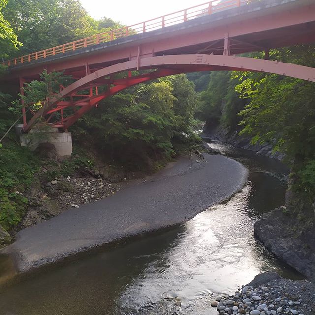 Well, hello there! There is more to Hokkaido than some of the world's top winter sports resorts! #swimminginjapan #swimming #letsgoswimming #wildswimming #wildswimmingjapan #jumpin #swim #riverswim #adventuretime #freshwater #japan #river #holidays #