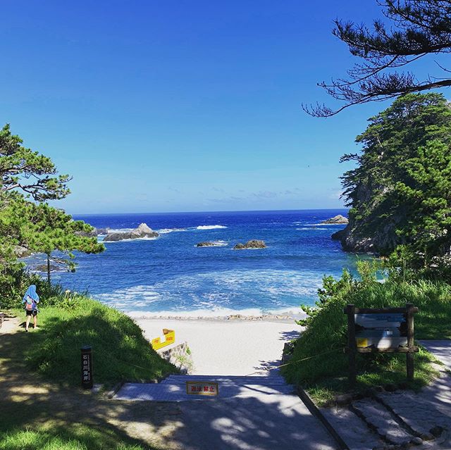 Part of Tokyo prefecture, Izu islands never disappoint. All tips to go there on our website  #shikinejima #izuislands #obonholiday #wildswimming #letsgoswimming #swimminginjapan