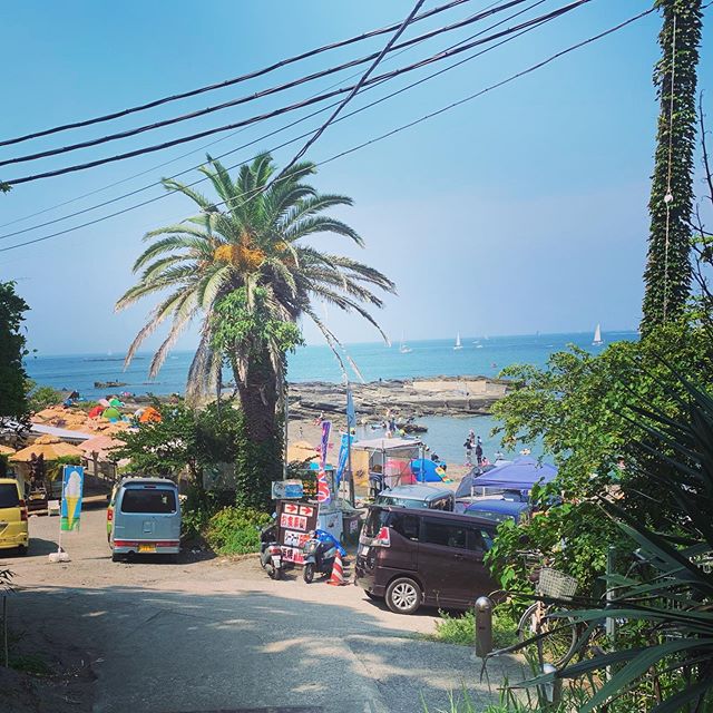 Araihama beach in Muira, an hour from Tokyo and a whole different #tropical scene. Excellent #swimming and #snorkeling to be had and even a wee #island to #swim to. A #clearwater bay ... and eagles 🦅 🏝 #swimminginjapan #letsgoswimming 
#aburatsubob