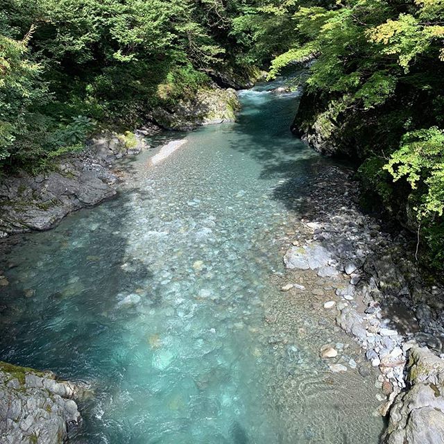 This is #tokyo believe it or not! What a beautiful #summer say for a #riverswim ... 1 train from #shinjuku 1 hour west you'll find #okutama - a clean #emerald #river for swimming, jumping and having a good old #frolic.  #escapetheoffice #swimminginja