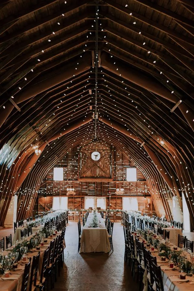 Gallery  The Blue Dress Barn