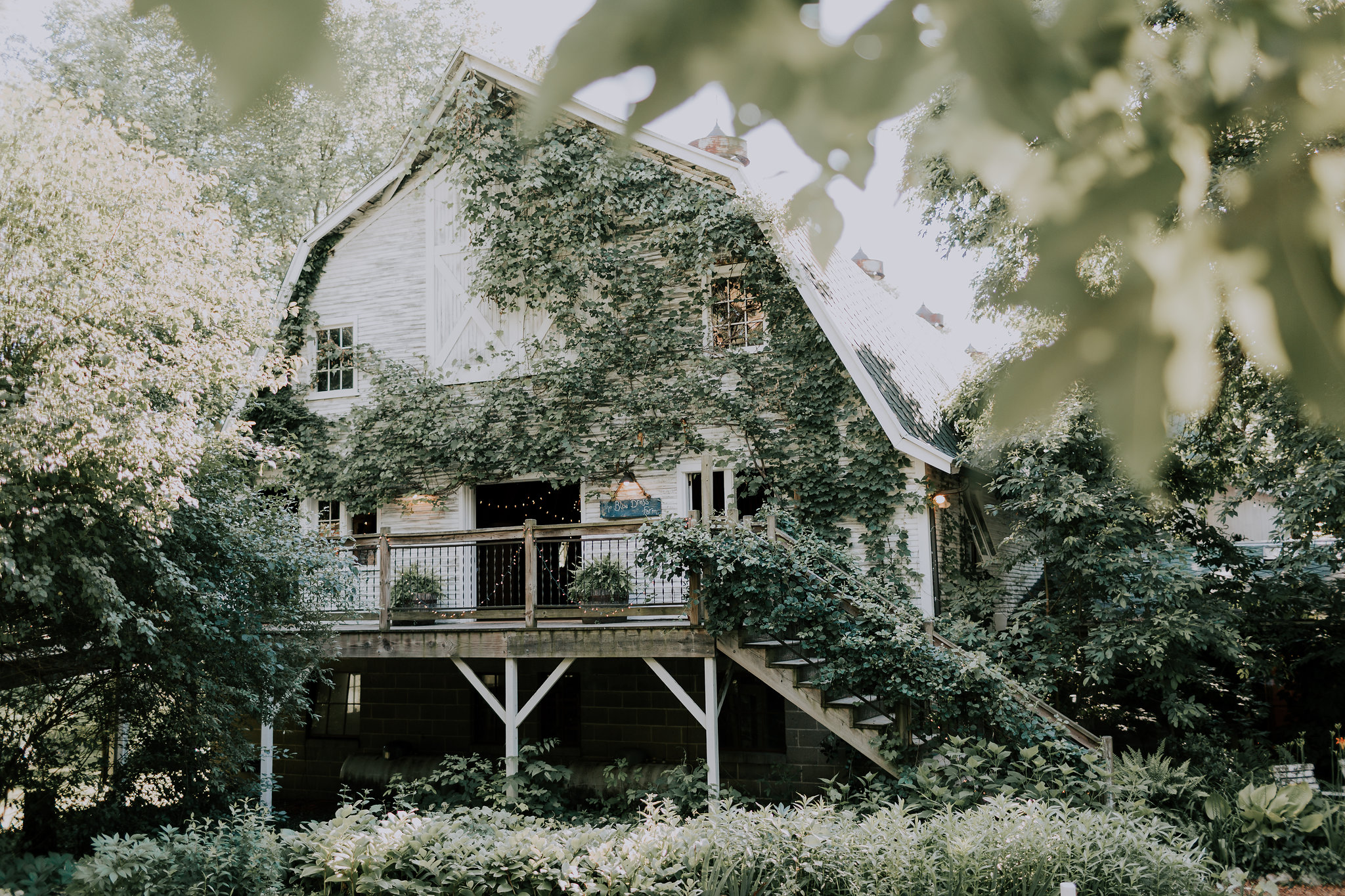 blue dress barn