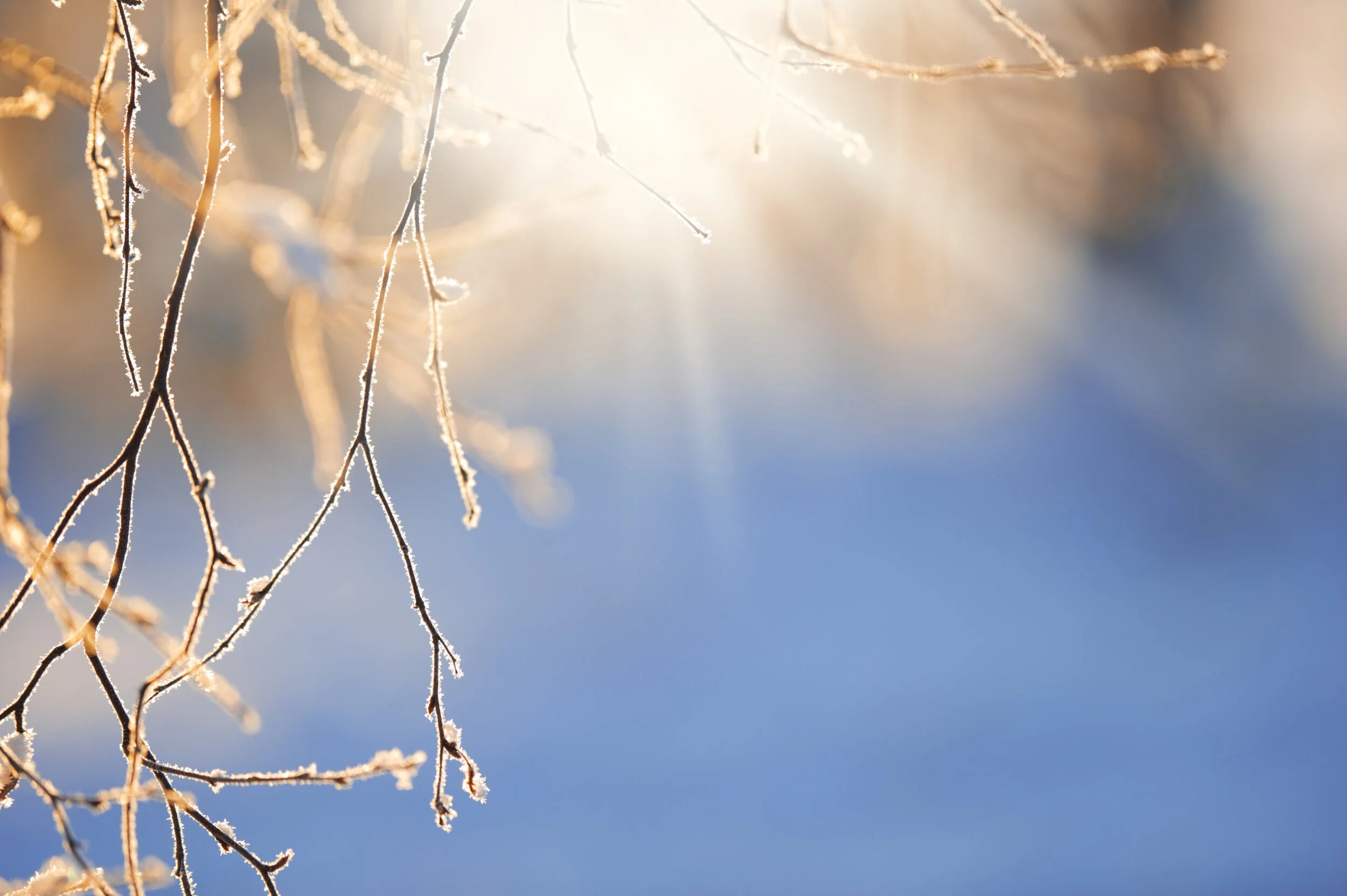 Vitamin D as an endurance Athlete in the winter