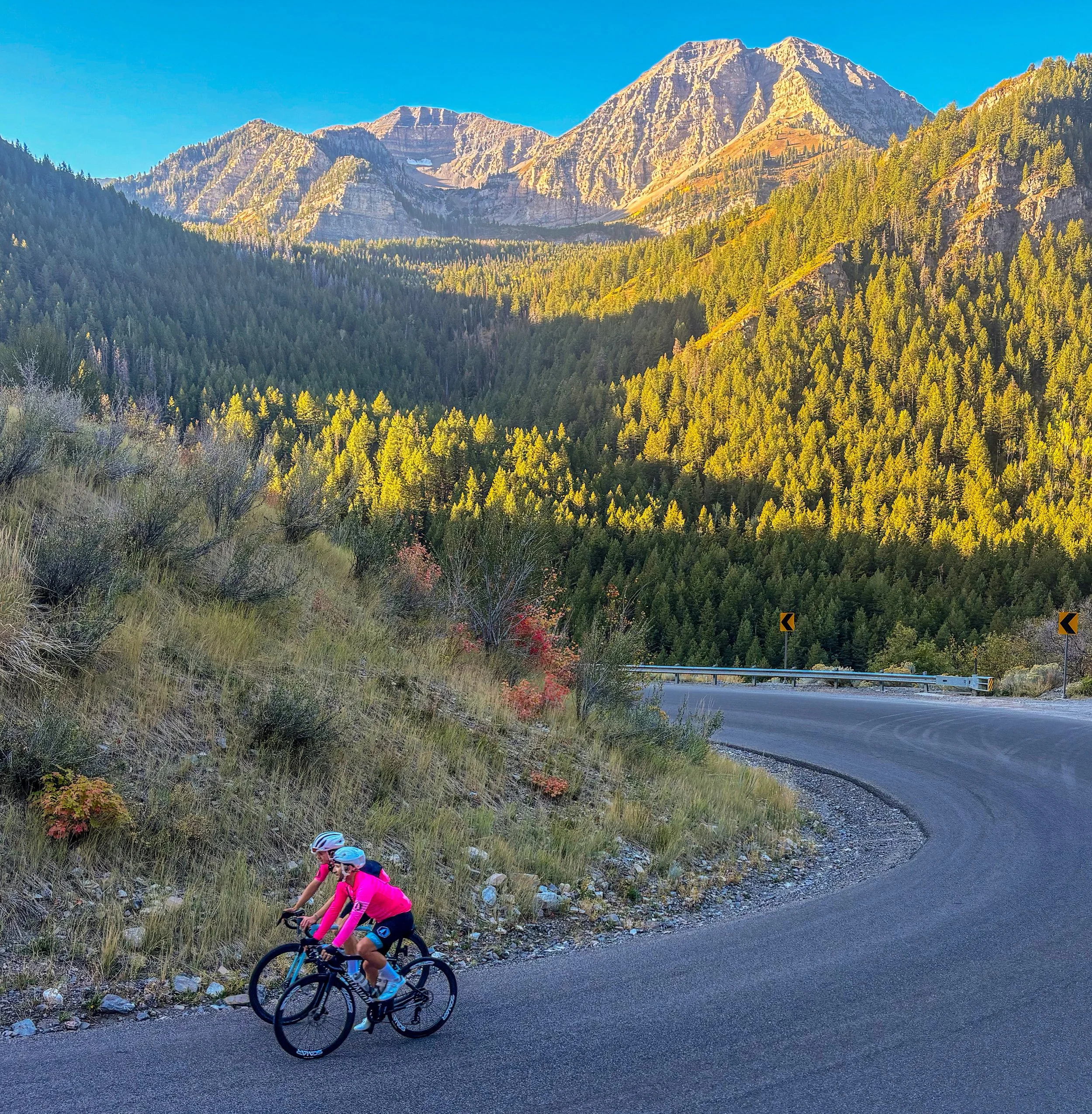 Key Off-Season Strategies for Athletes: Prepare for a Stronger 2025