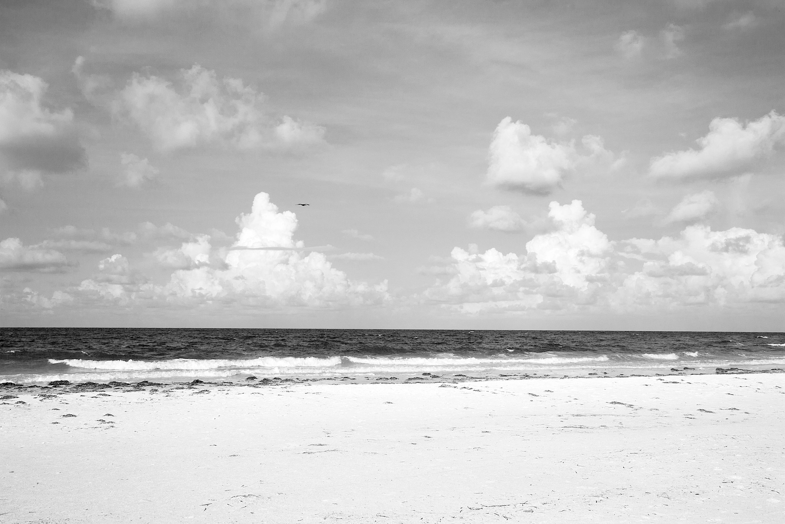 Sarasota Beach 26Mar17.jpg