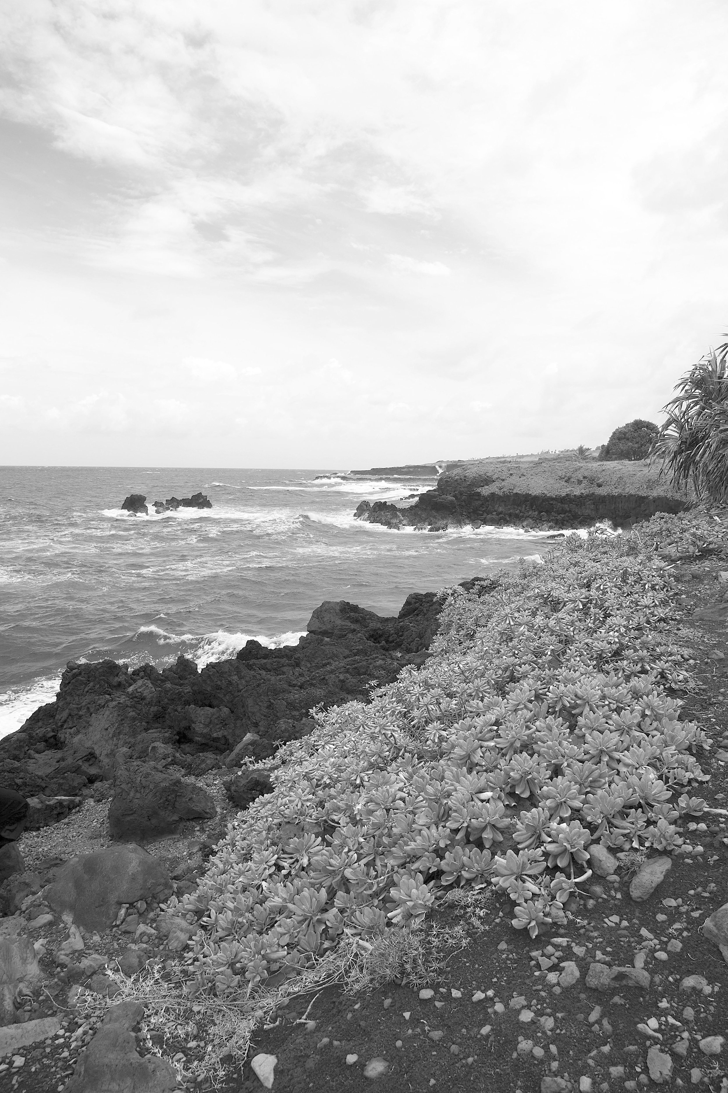 Maui Sea 1 25Apr17.jpg