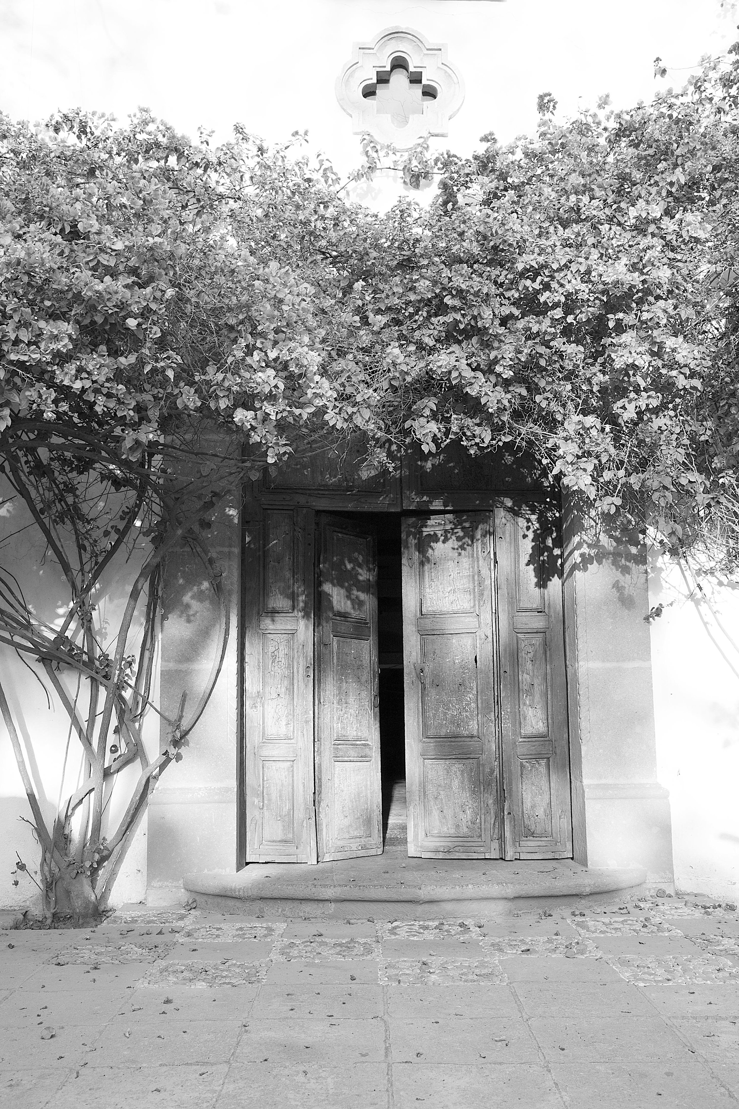 Cuernavaca Door 3 2Oct17.jpg