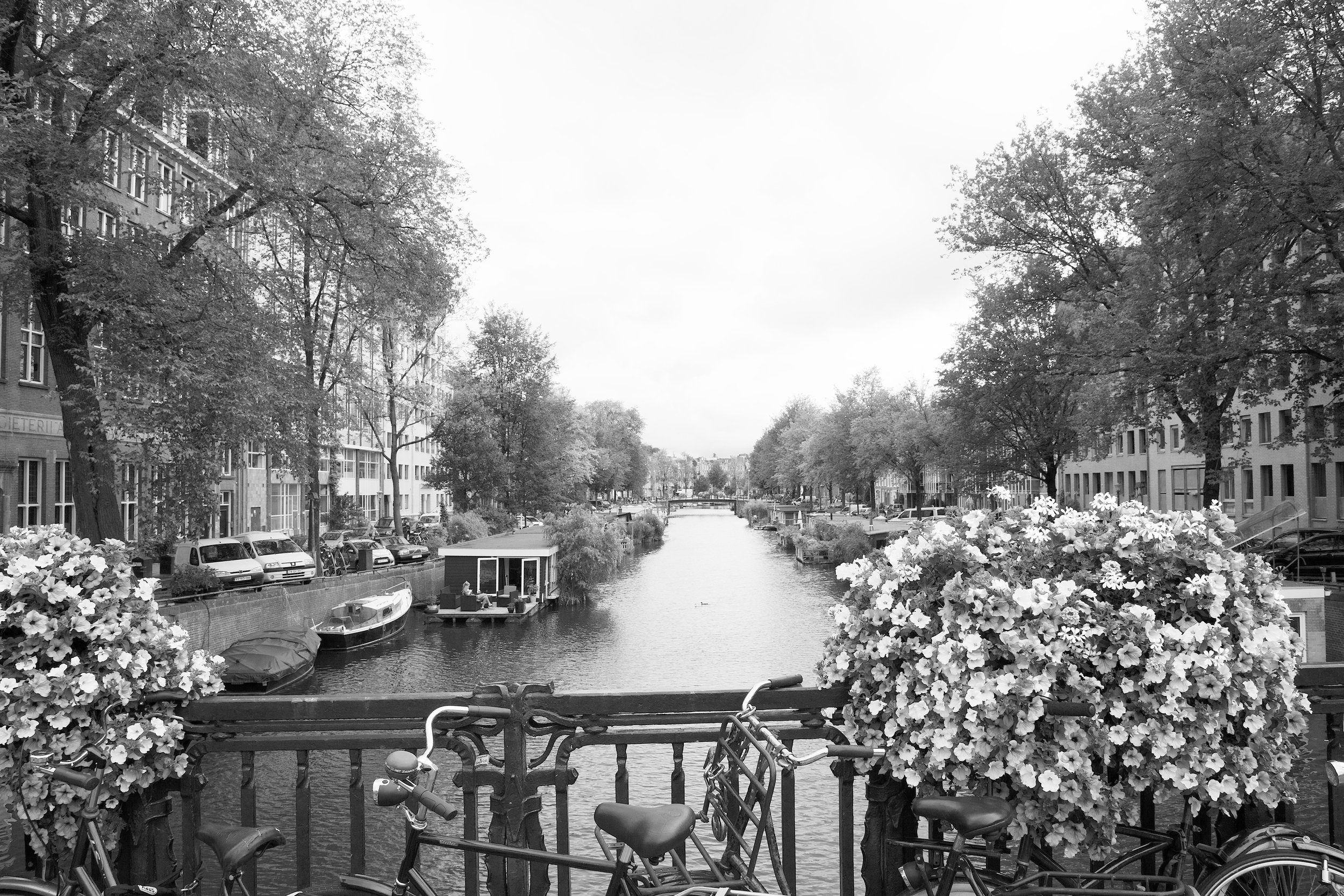 Amsterdam Canal 4 14Jan18.jpg