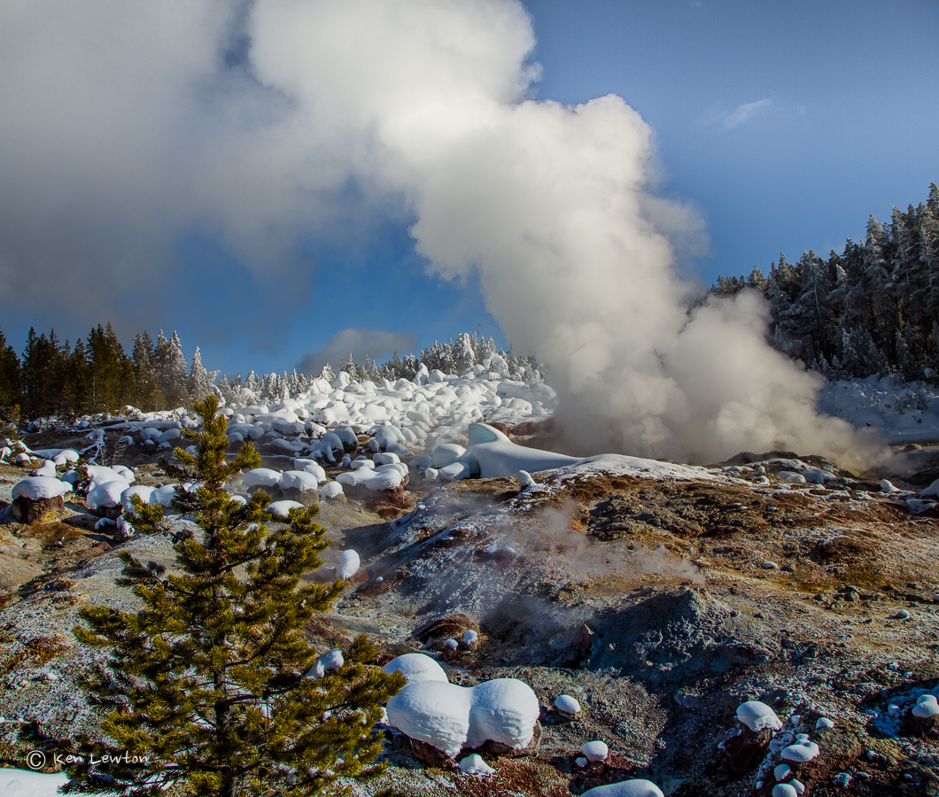 Amazing Winter in Yellowstone