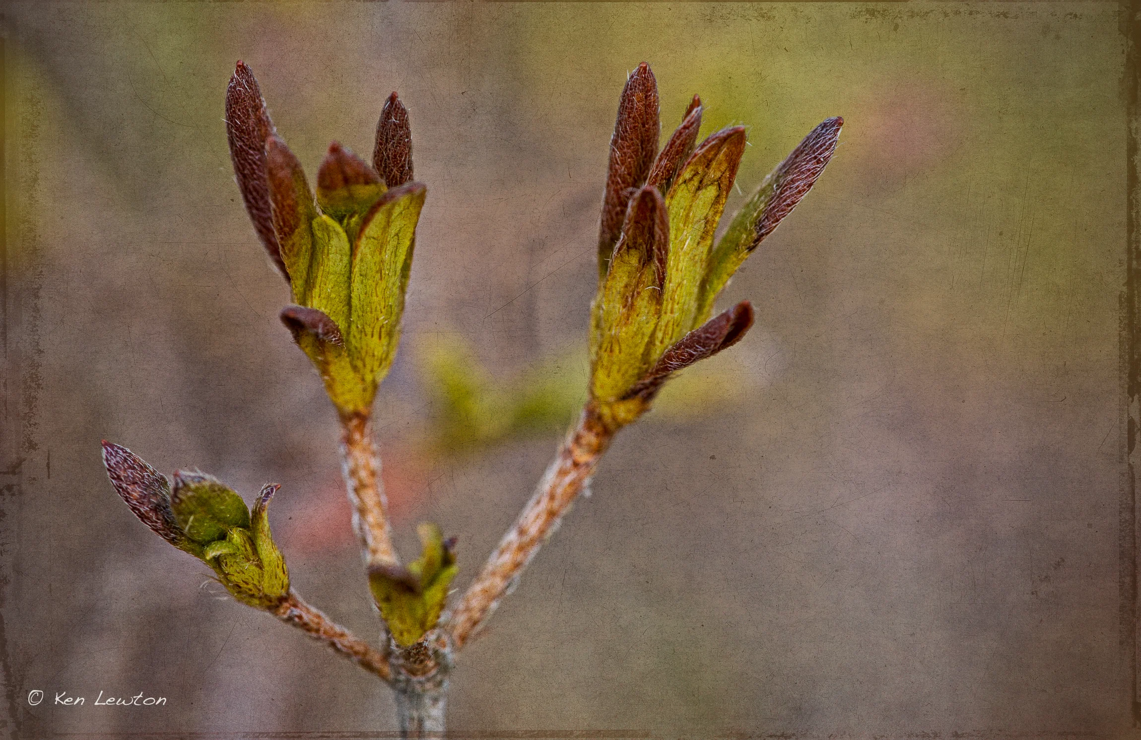 5DM32535-Edit.jpg