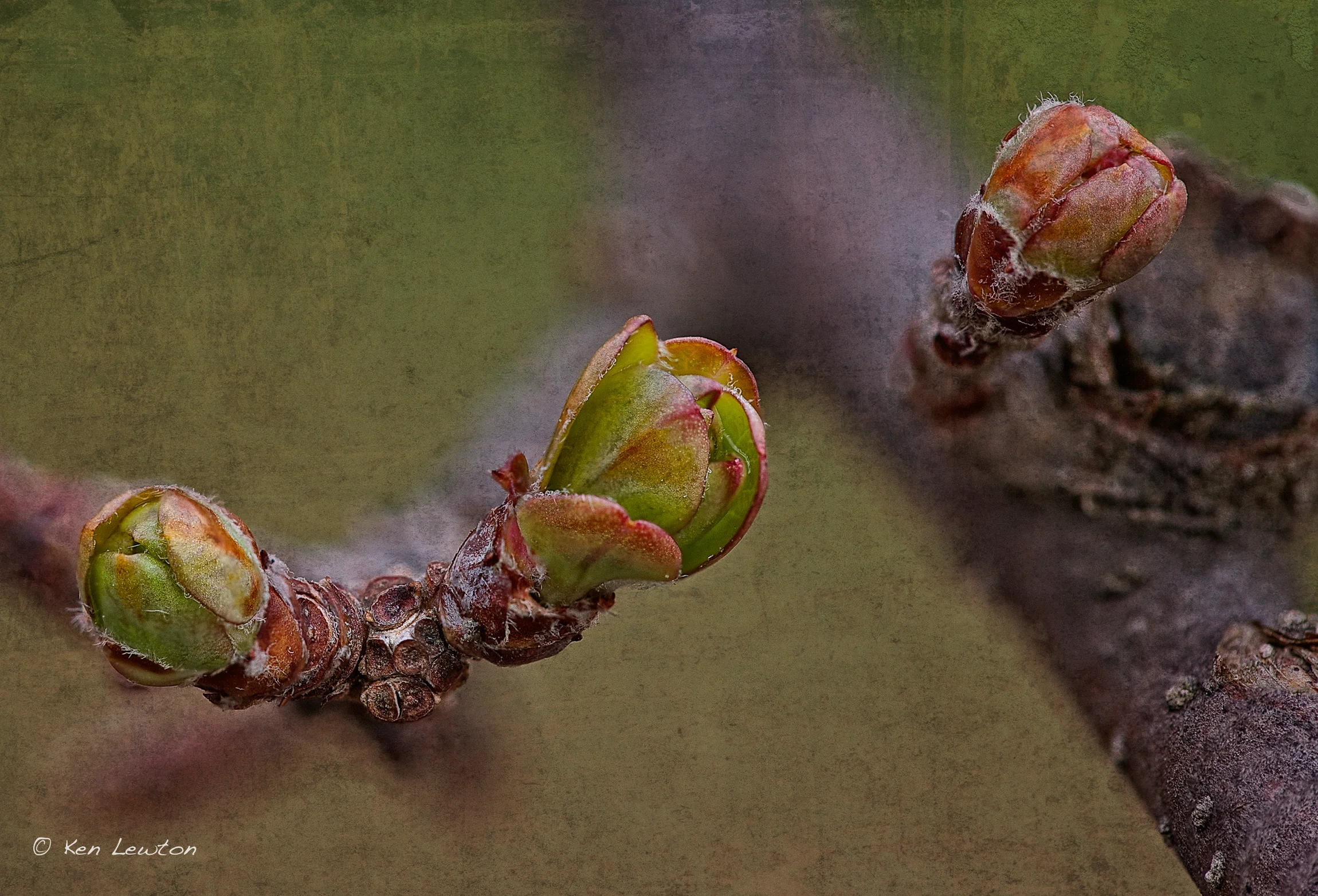 Focus-Result-2-(B,-7,-1)-Edit.jpg