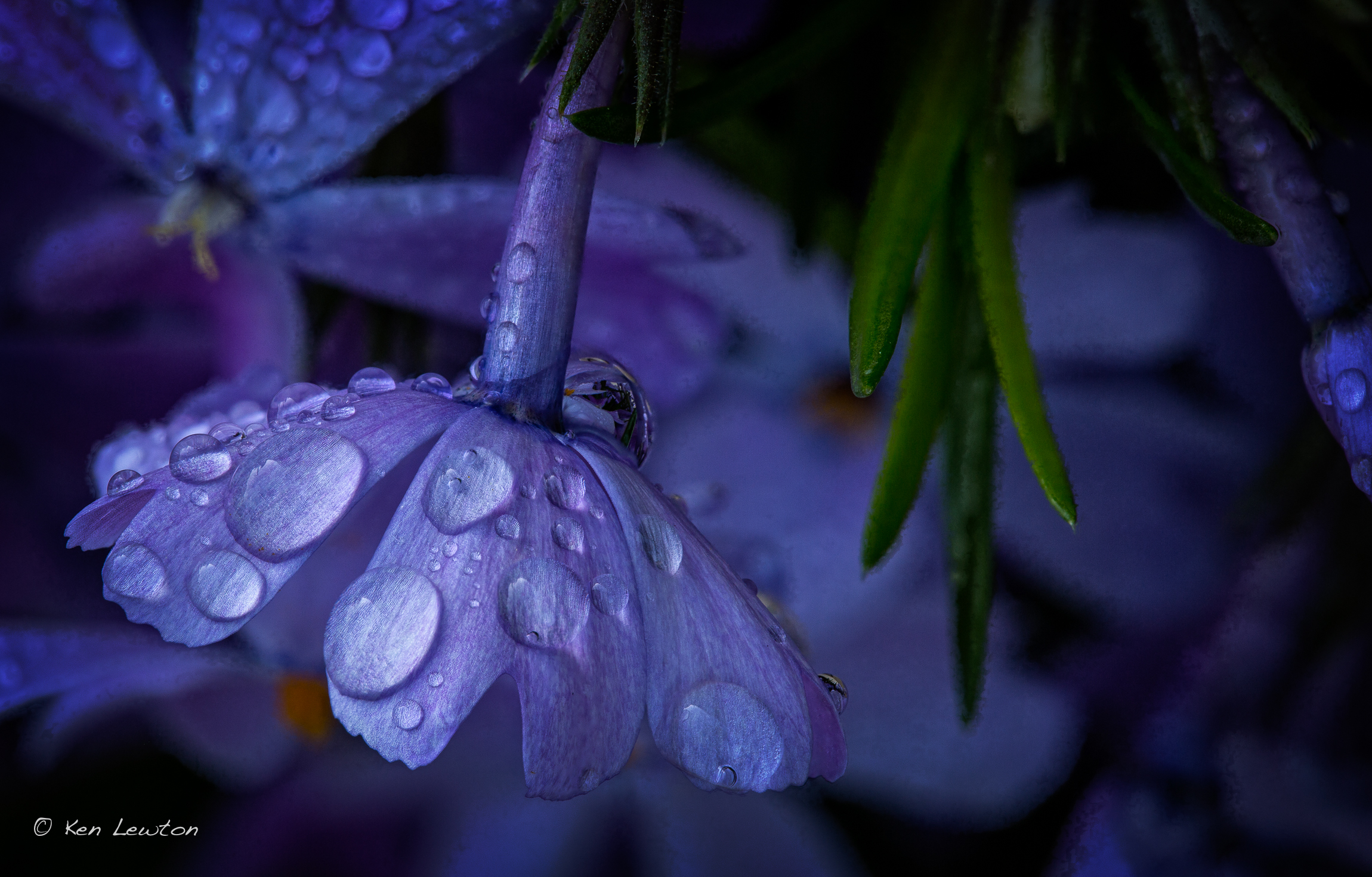Focus-Result-5-(B,-3,-2)-Edit.jpg