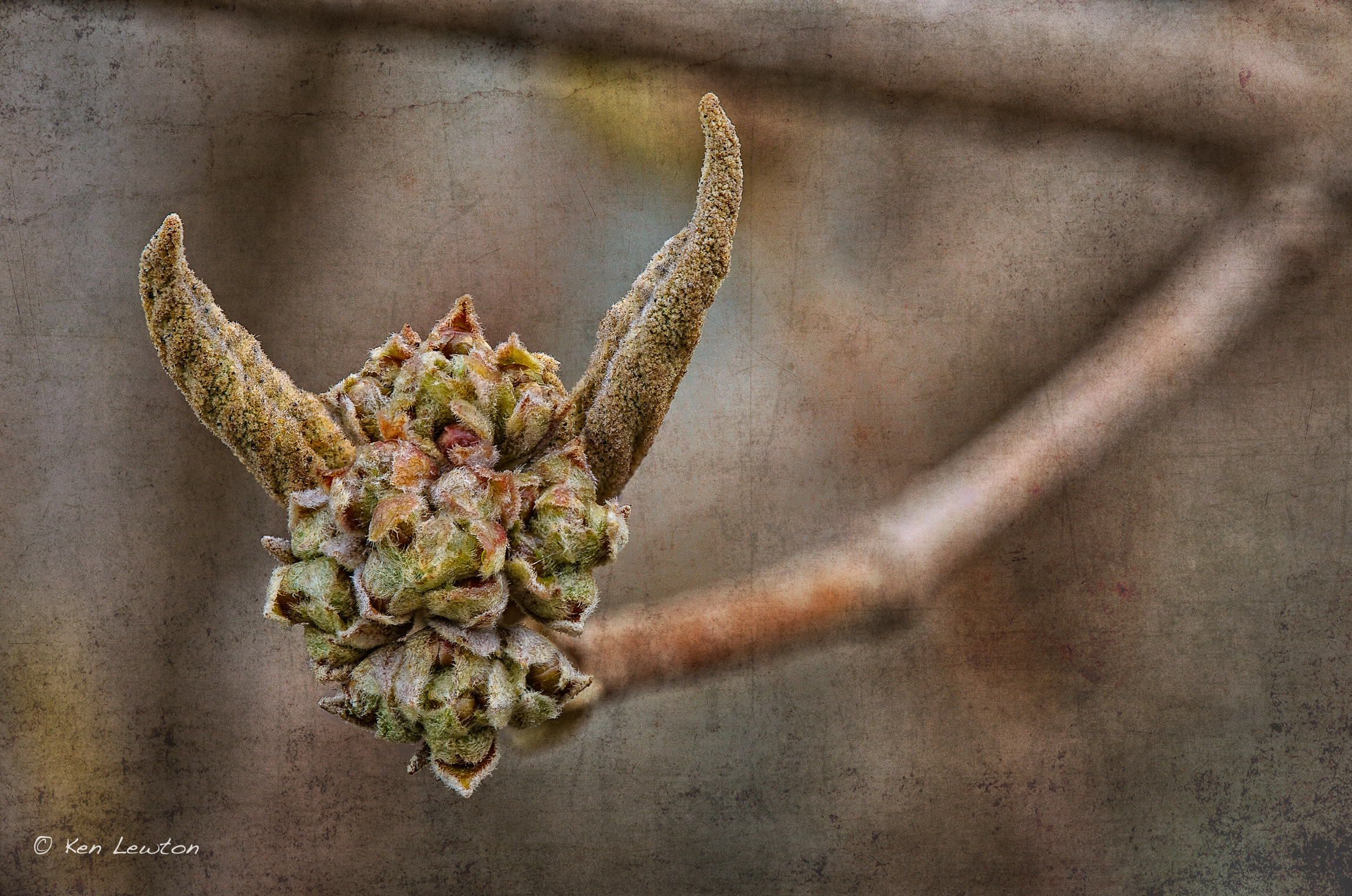 Focus-Result-1-(B,-8,-2)-Edit-Edit.jpg