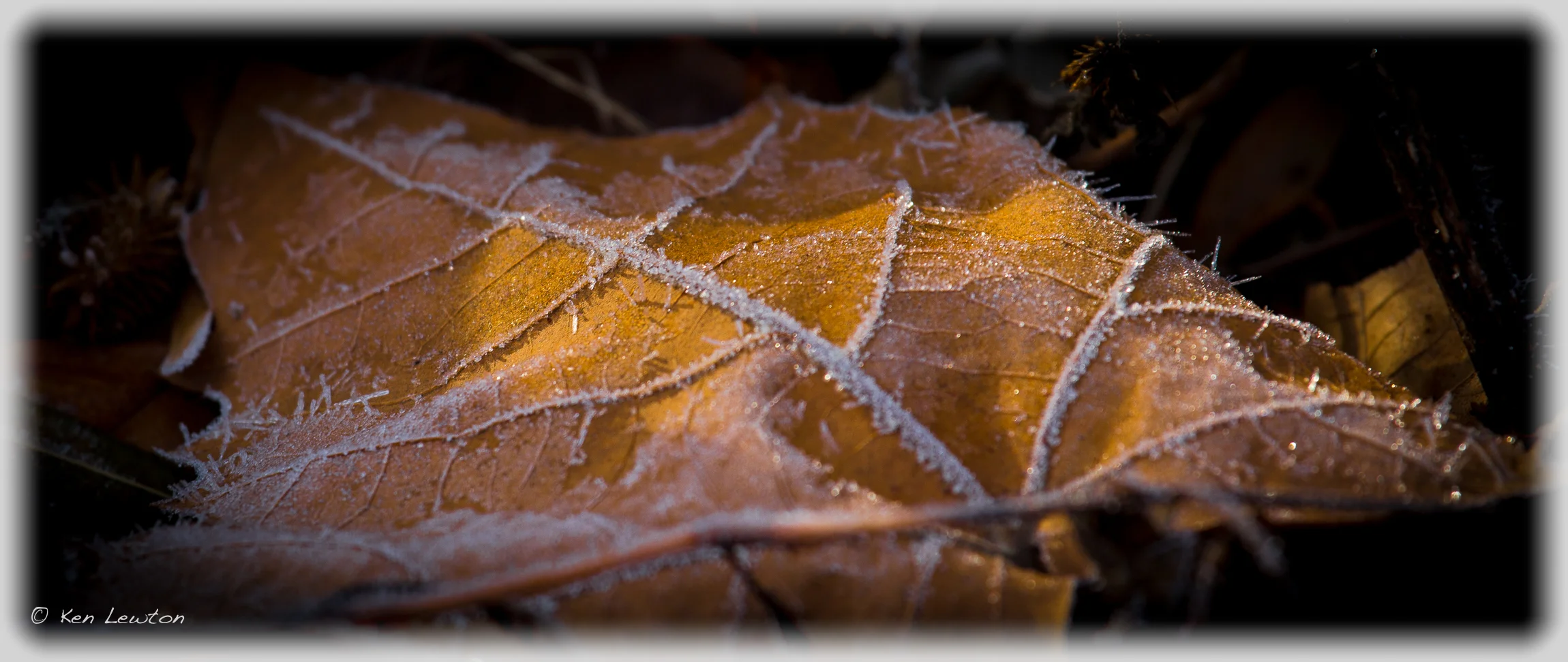 5DM30451-Edit.jpg
