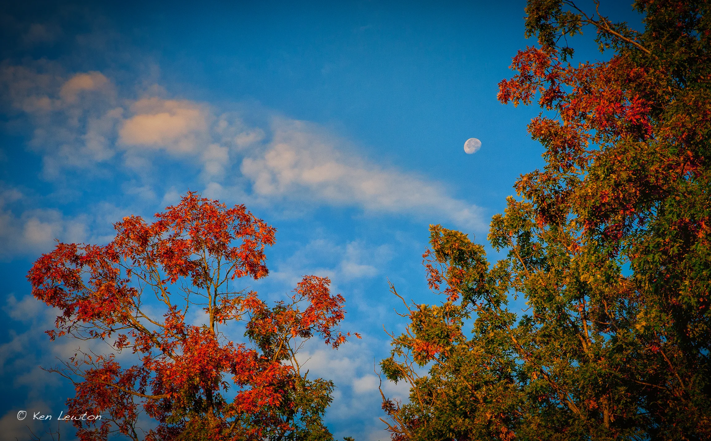 _MG_2645-Edit.jpg