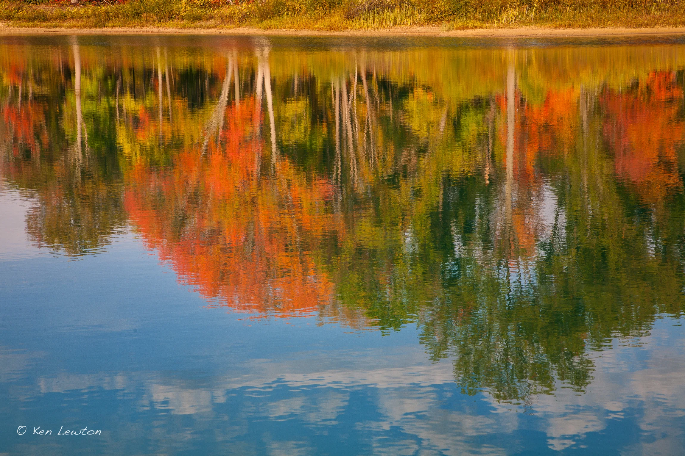 _MG_2712-Edit.jpg