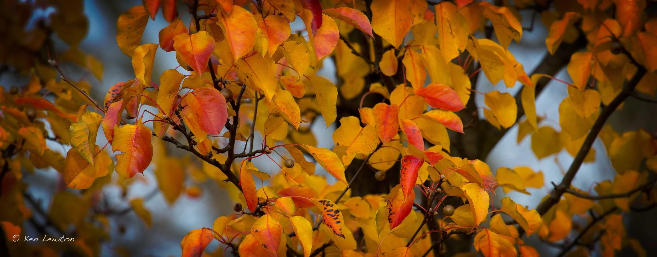 5DM30220-Edit.jpg