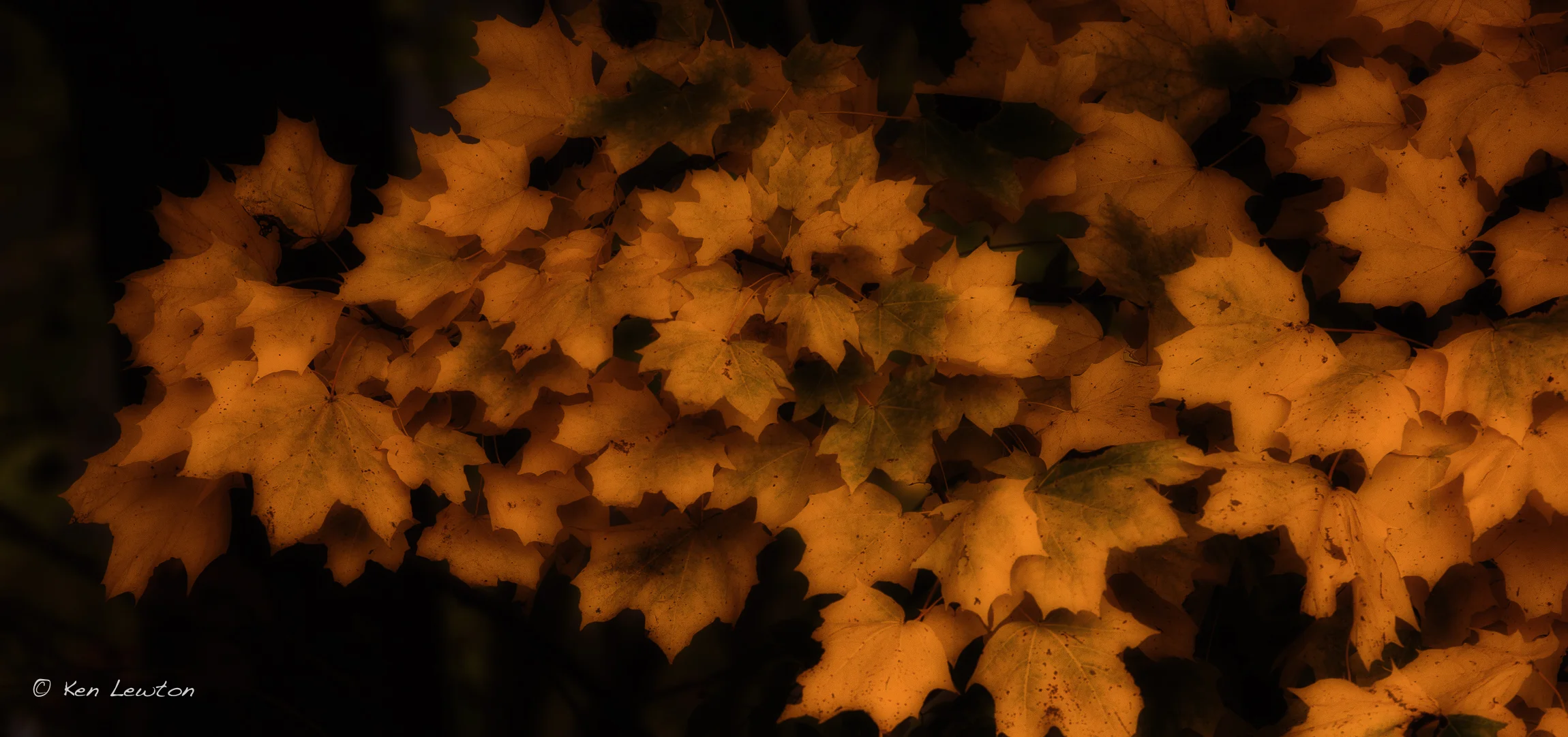5DM32074-Edit.jpg