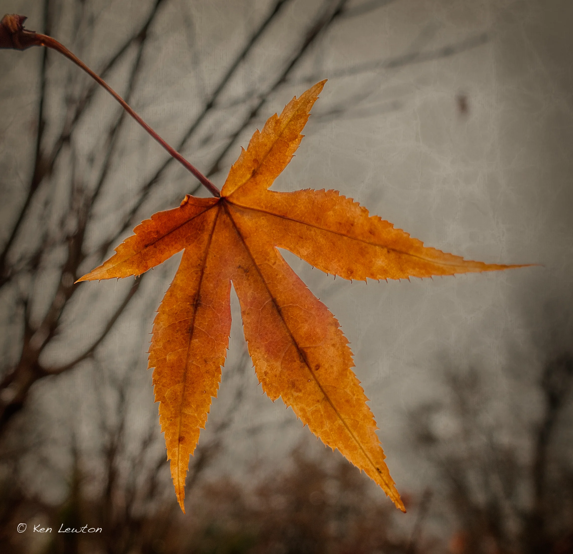 DSC00319-Edit.jpg