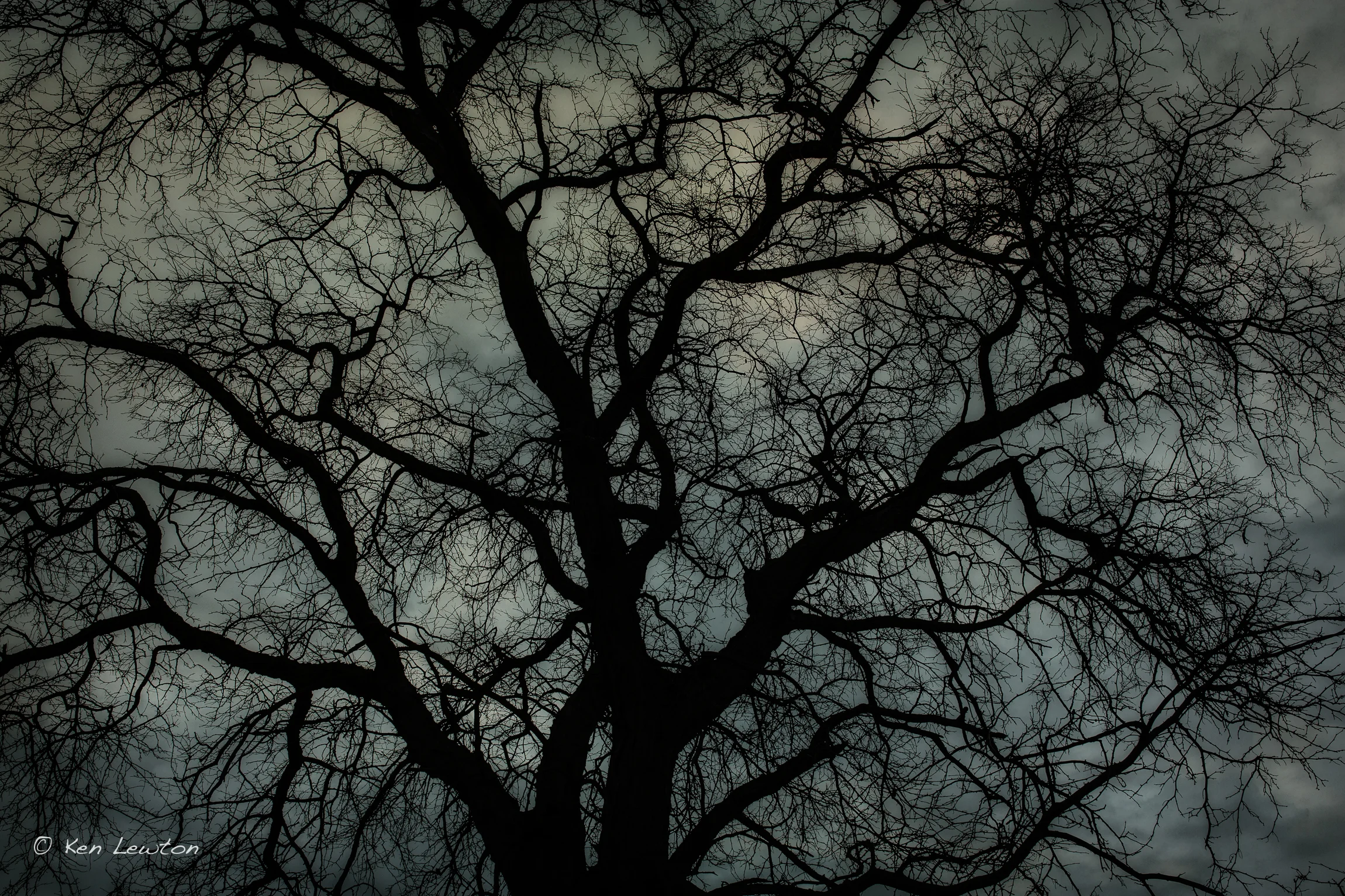 5DM33179-Edit.jpg