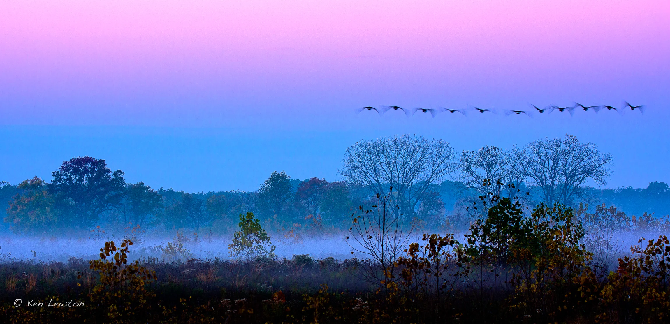 5DM31982-Edit.jpg