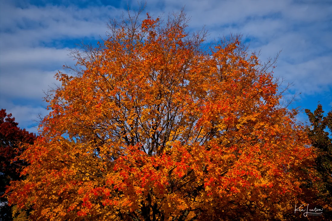 Web_FXT32183_Irid.jpg